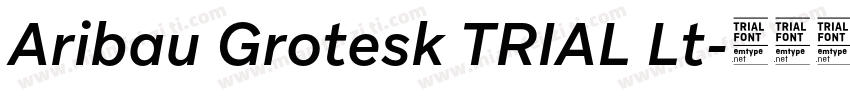 Aribau Grotesk TRIAL Lt字体转换